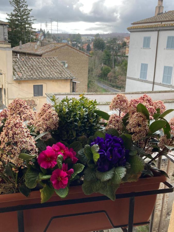 La Casetta Nel Granaio Capranica エクステリア 写真